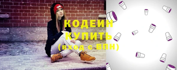 гашик Липки