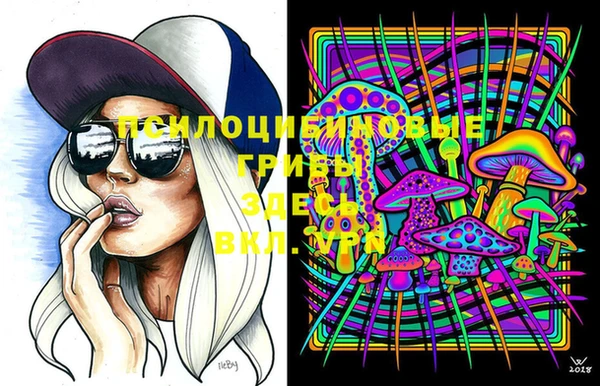 гашик Липки