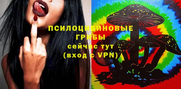 гашик Липки